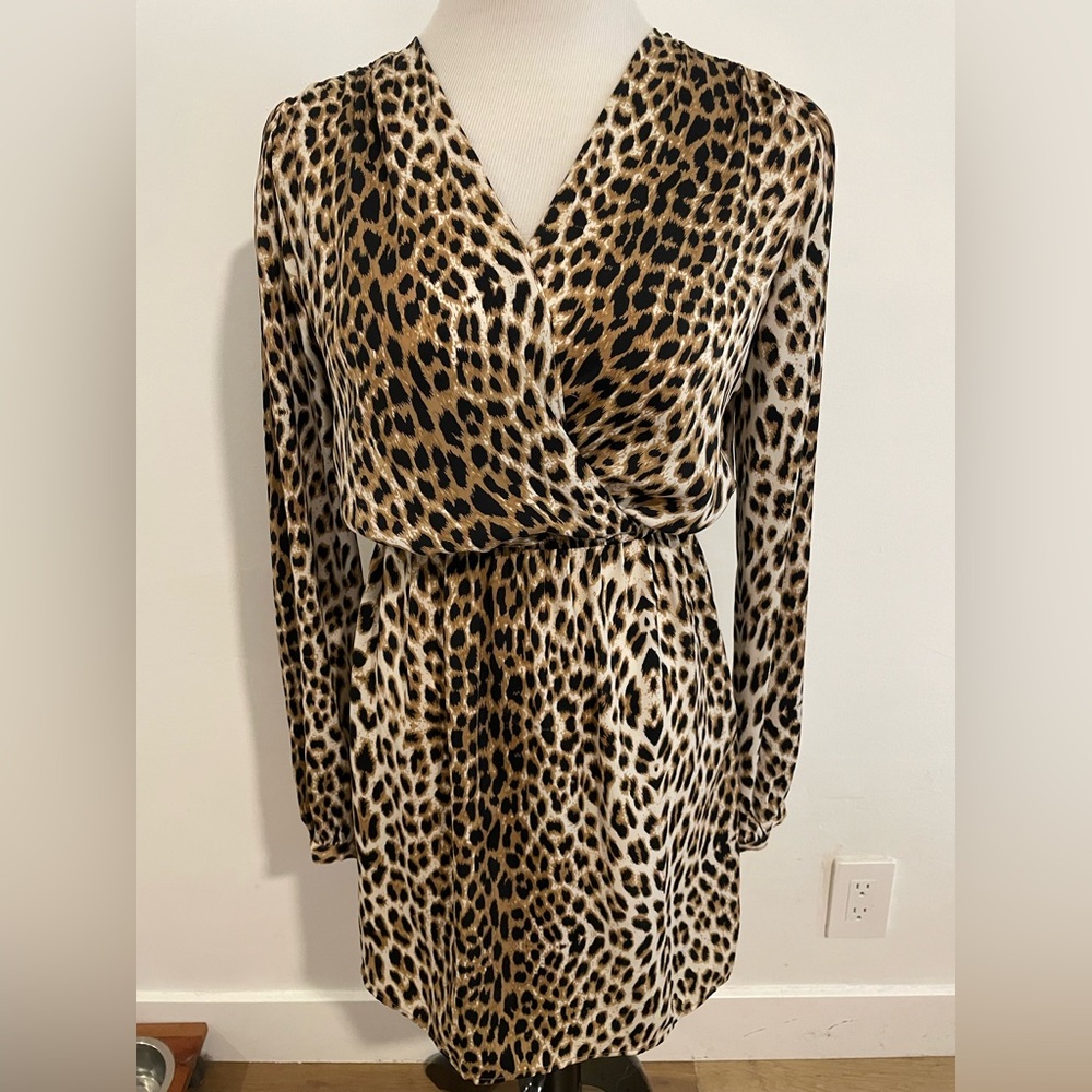 Twelfth Street by Cynthia Vincent Animal Print Long Sleeve Dress